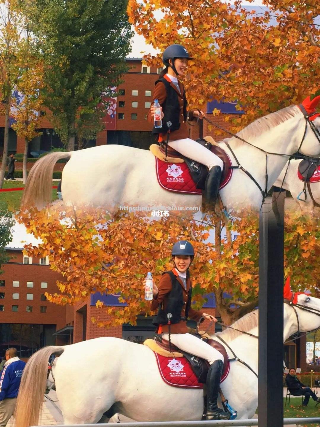 意大利骑手飒爽出场，圈粉一众观众