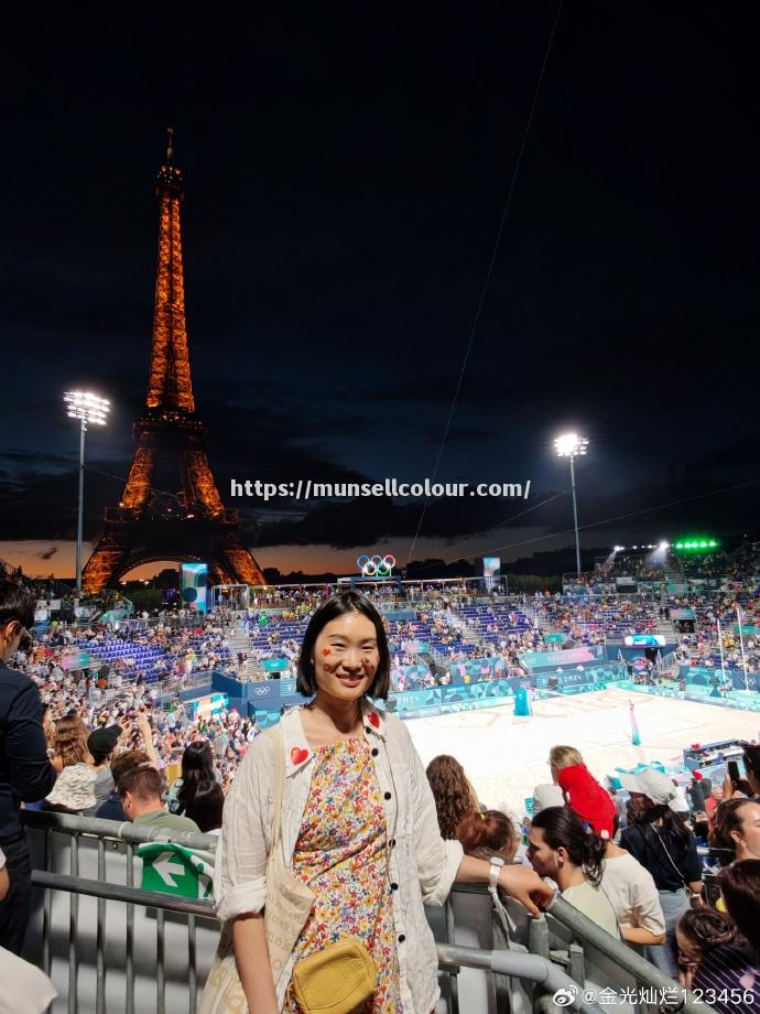 法国击败瑞士排球实现夺冠梦想 法国击败瑞士排球实现夺冠梦想