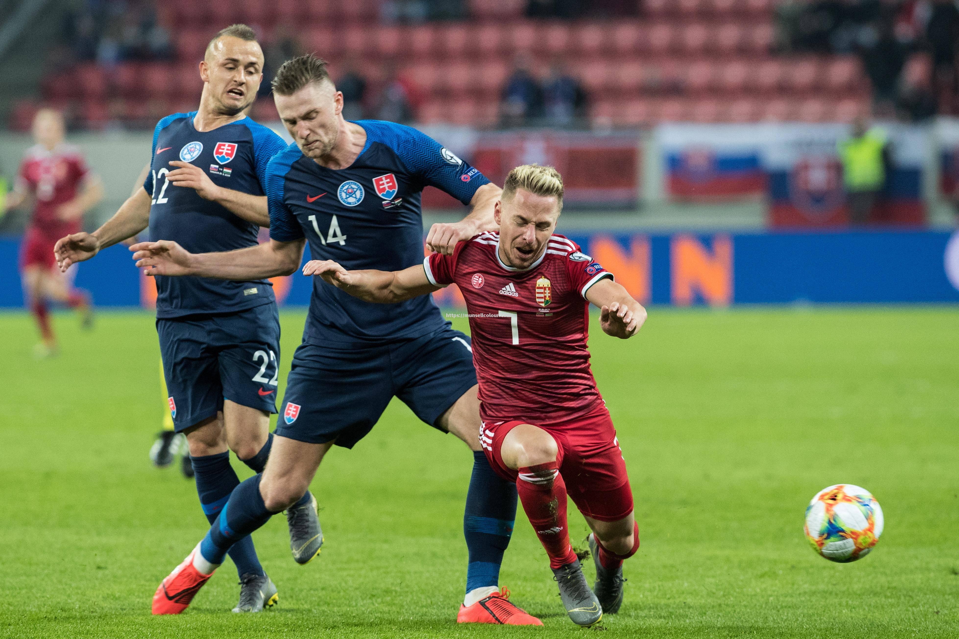 瑞典队赢得关键胜利，争取参加重要赛事