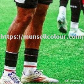 华斯福德主场胜利,反弹态势明显 华斯福德主场胜利,反弹态势明显