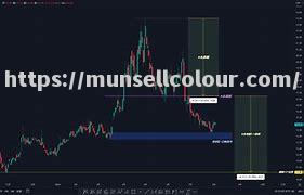 克什米尔红星遭遇困境,追求反弹之路 克什米尔红星遭遇困境,追求反弹之路