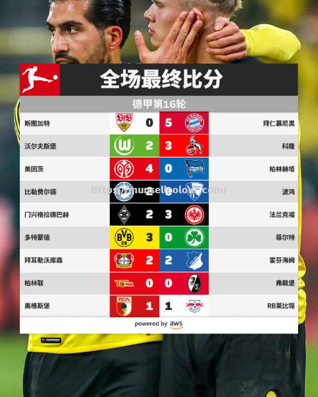 霍芬海姆客场告捷,稳固积分榜上位置 霍芬海姆客场告捷,稳固积分榜上位置