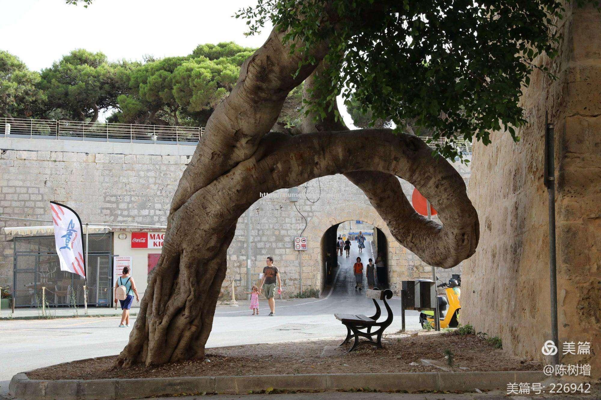 摩纳哥主场大胜尼斯,卫冕之路依旧坚挺 摩纳哥主场大胜尼斯,卫冕之路依旧坚挺